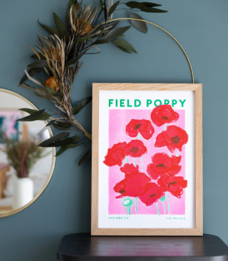 field poppy illustration