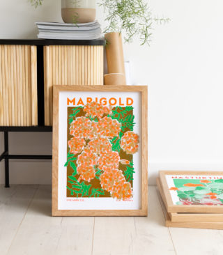 marigold illustration