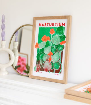 nasturtium illustration print