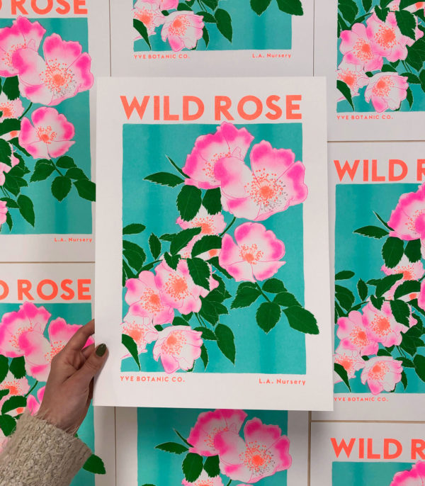 wild rose print