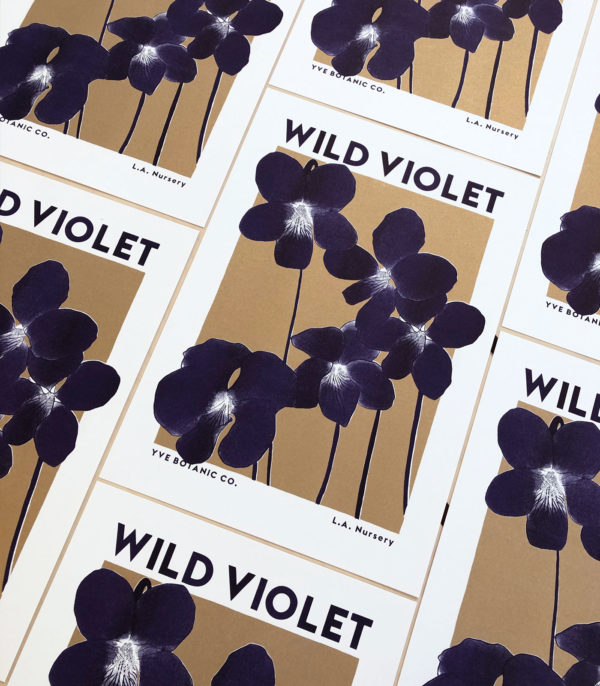 wild violet botanic print