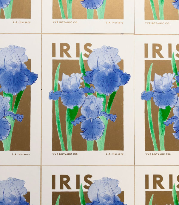 Iris prints