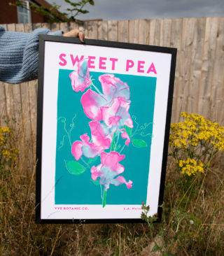 sweet pea lithograph