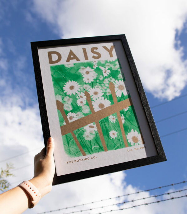 daisy in the sky