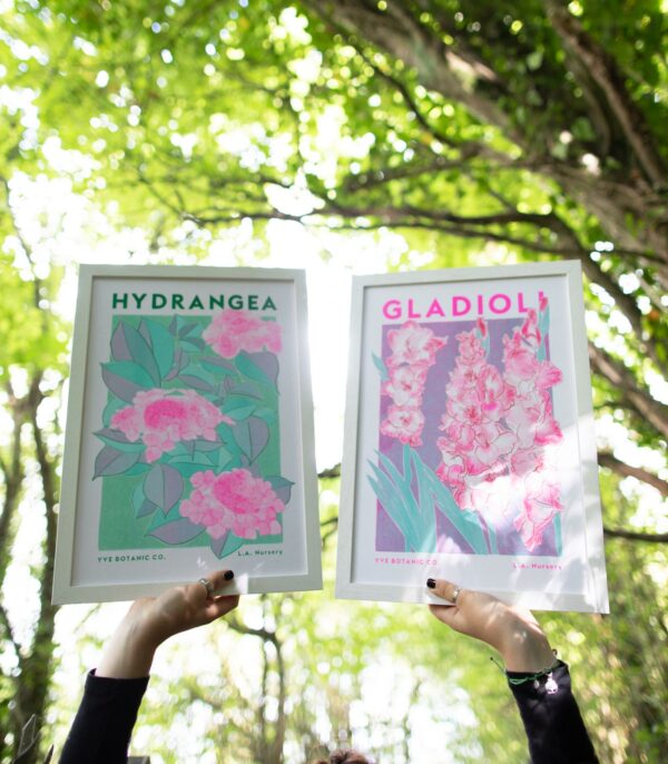 hydrangea and gladioli