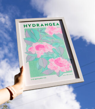 hydrangea in the sky