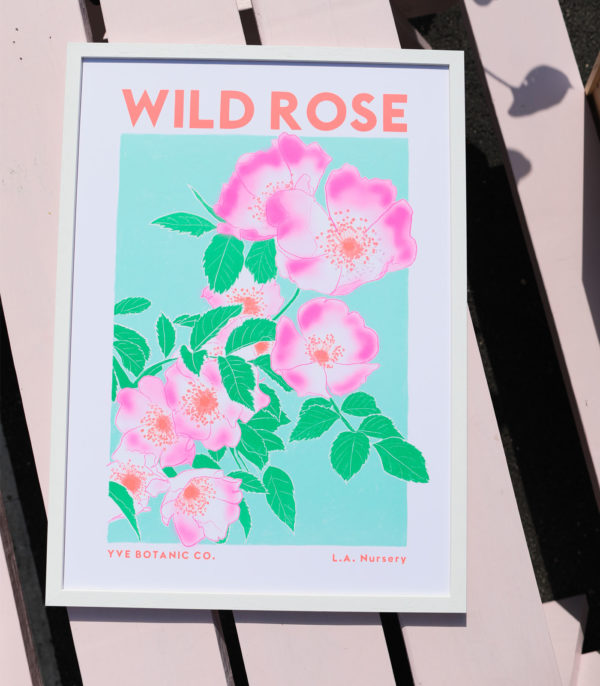 wild rose solo
