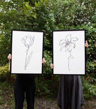 lily tulip pair