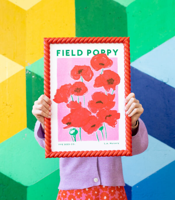 field poppy in rope frame