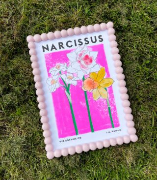 narcissus print
