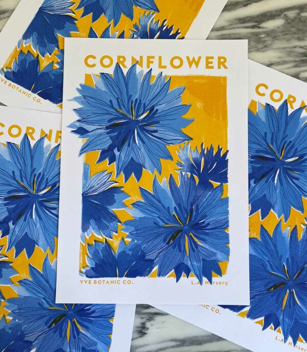 cornflower print