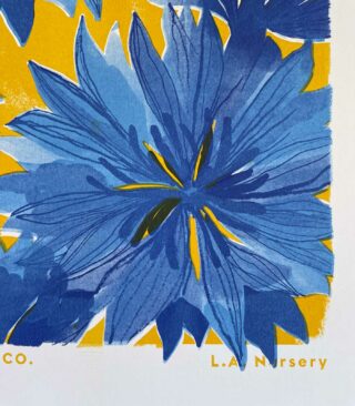 cornflower detail